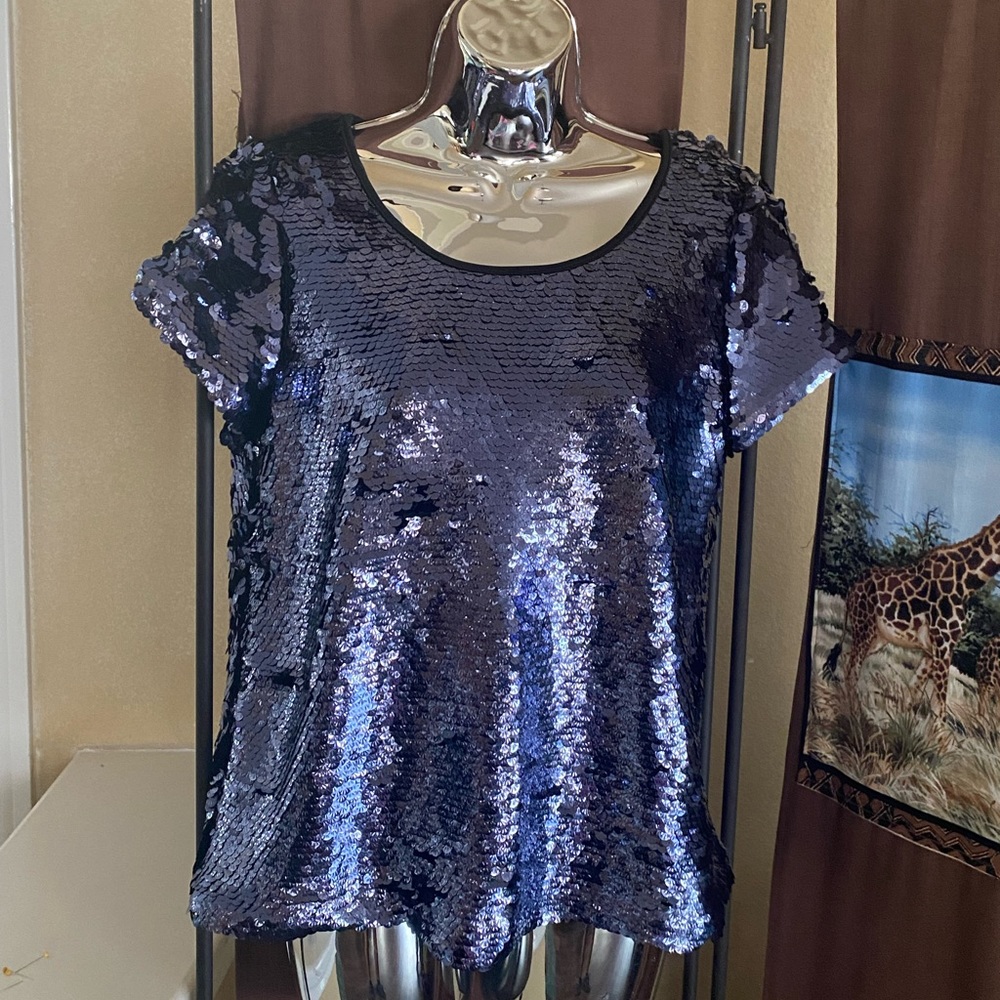 Women’s Leifsdottir Sequin Top, size medium. Short sleeves.